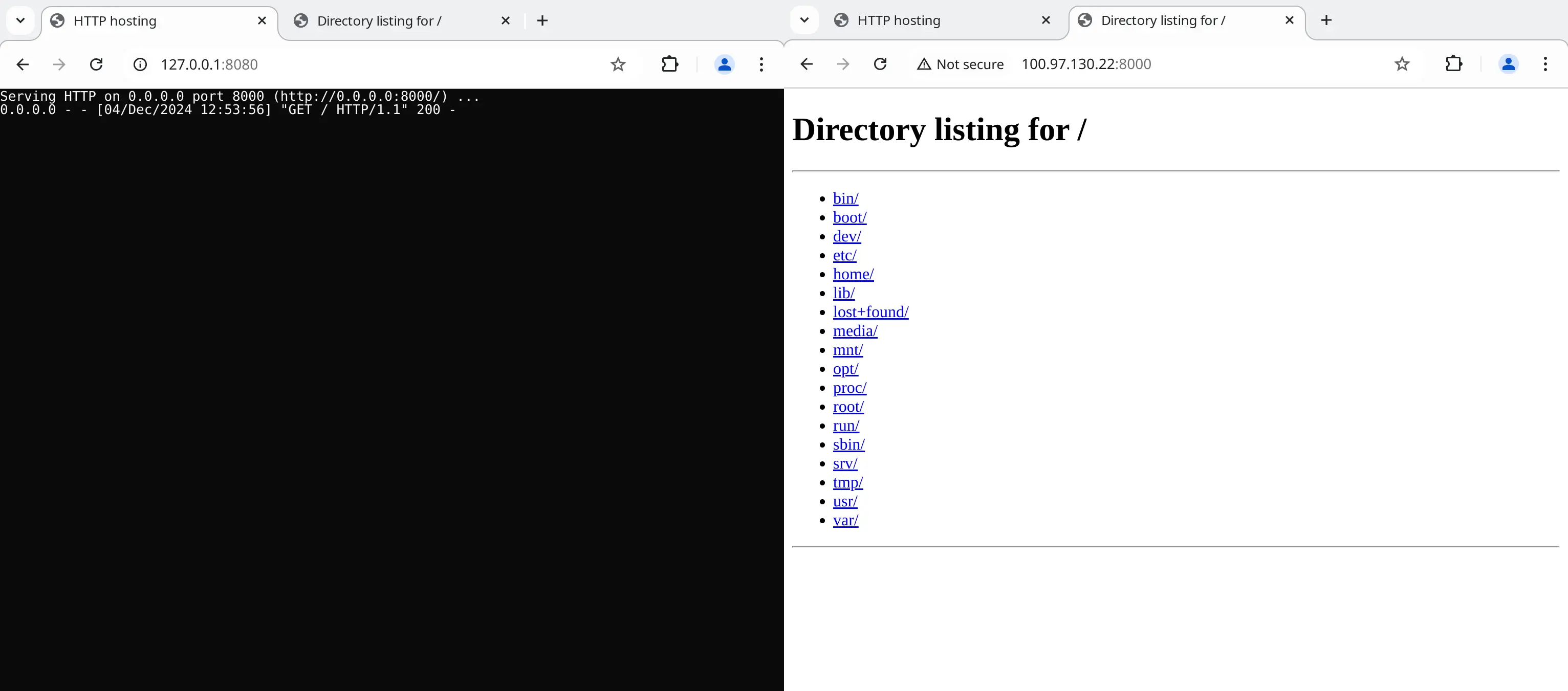 HTTP server in the browser